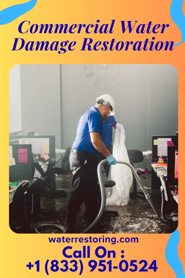 Commercial Water Damage Restoration in Brownsville, PA
