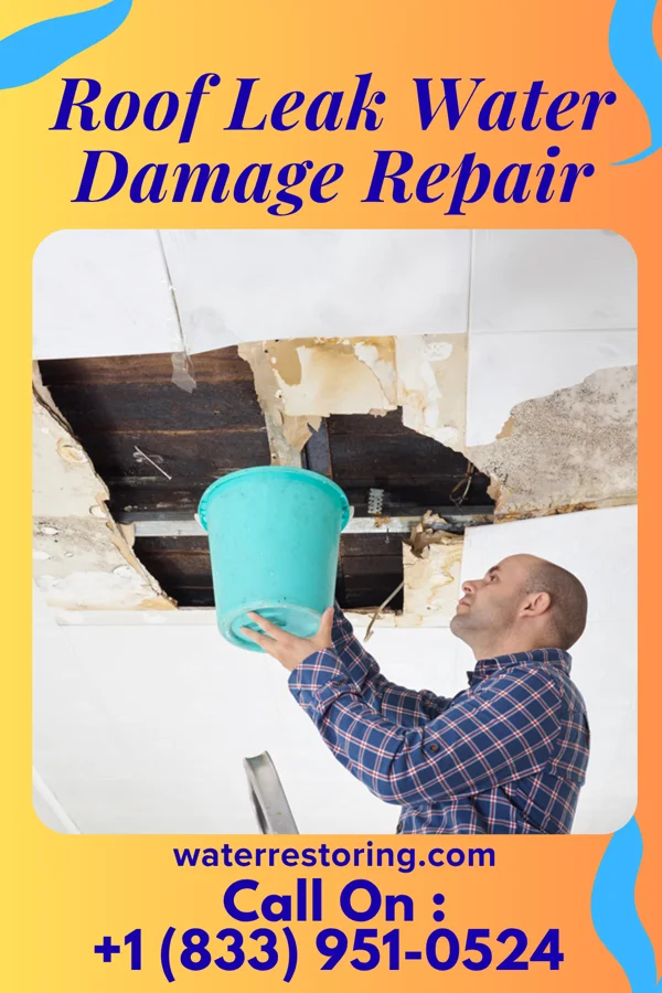 Roof Leak Water Damage Repair in Brownsville, PA