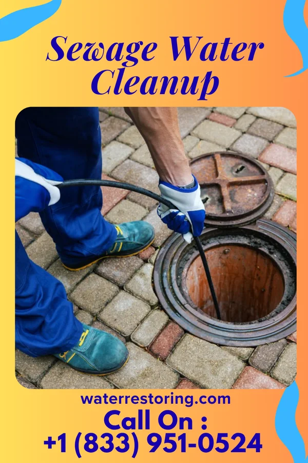 Sewage Water Cleanup in Brownsville, PA