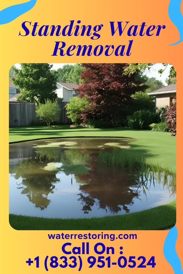 Standing Water Removal in Brownsville, PA